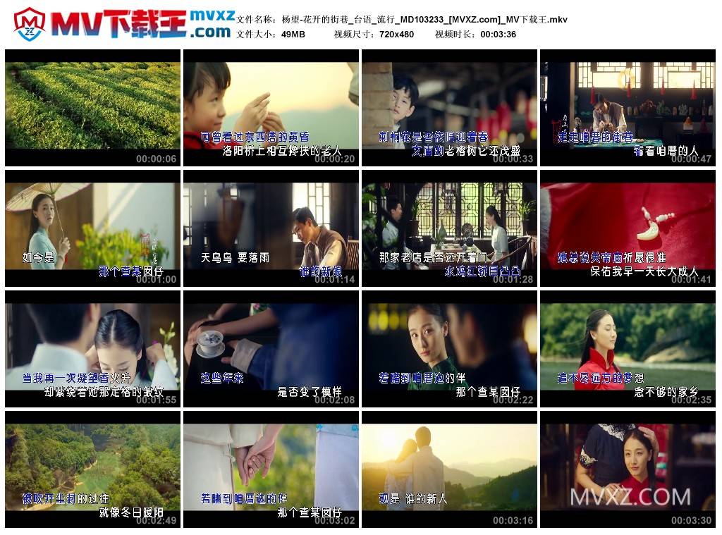 杨望-花开的街巷_台语_流行_MD103233